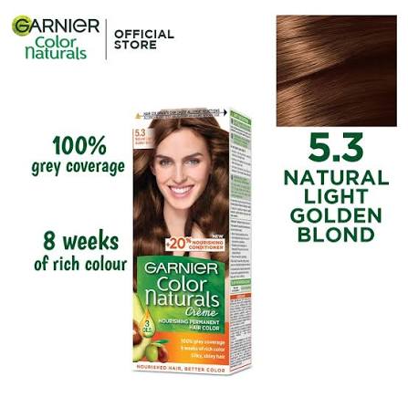 Garnier hair color 5.3