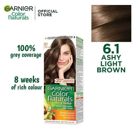 Garnier hair color 6.1