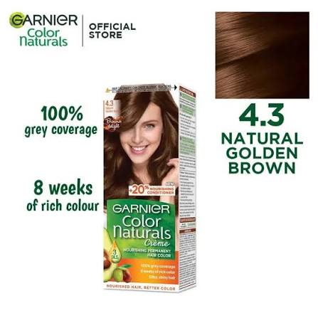 Garnier hair color 4.3
